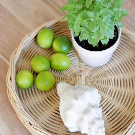 Village 5* Skopelos Town